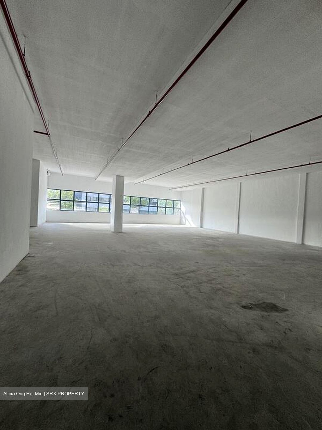 Loyang Industrial Estate (D17), Factory #497047391